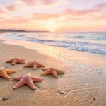 starfish puns and jokes